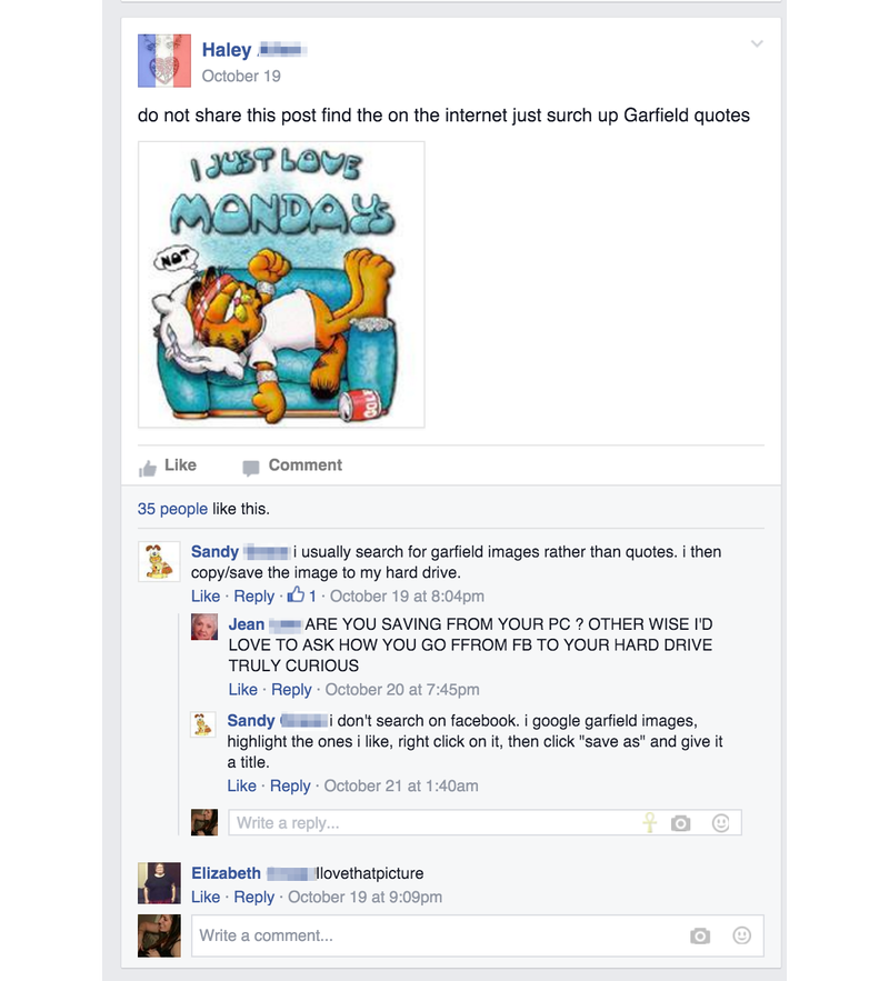 Illustration for article titled This Private Garfield Facebook Group Is the Last Irony-Free Place on the Internet